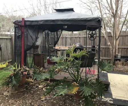 Cuernavaca Mini RV Park