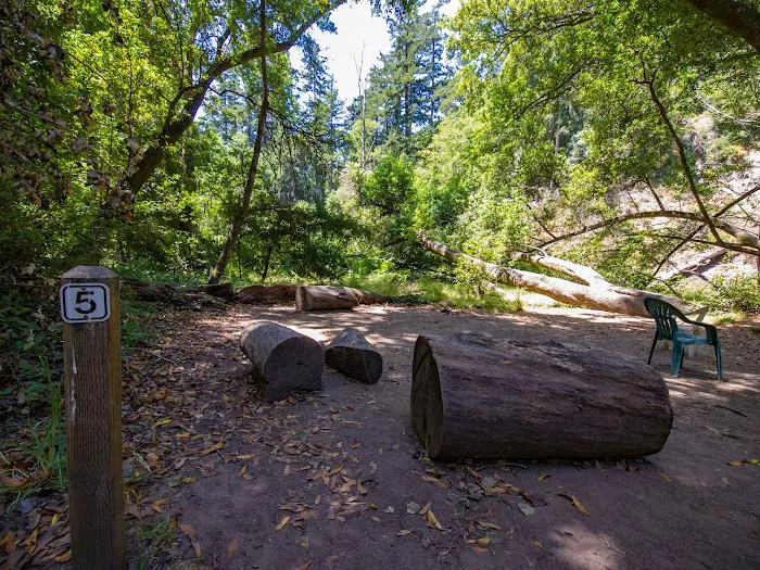 Twin Redwoods Trail Camp Picture 5