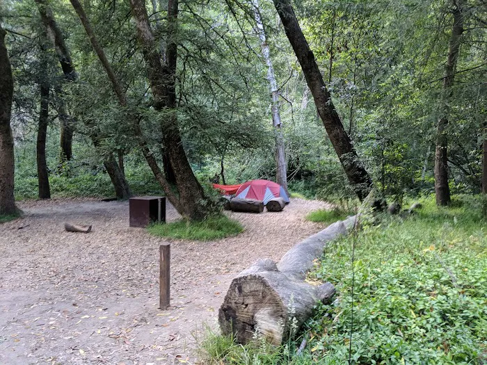 Twin Redwoods Trail Camp Picture 7