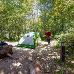Alder Trail Camp