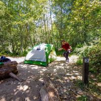 Alder Trail Camp ico