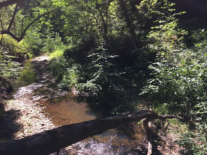 Alder Trail Camp Picture 3