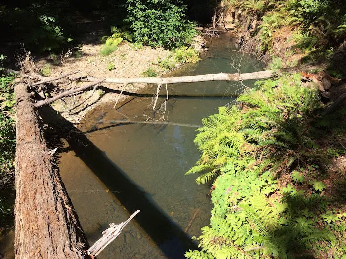 Alder Trail Camp Picture 5