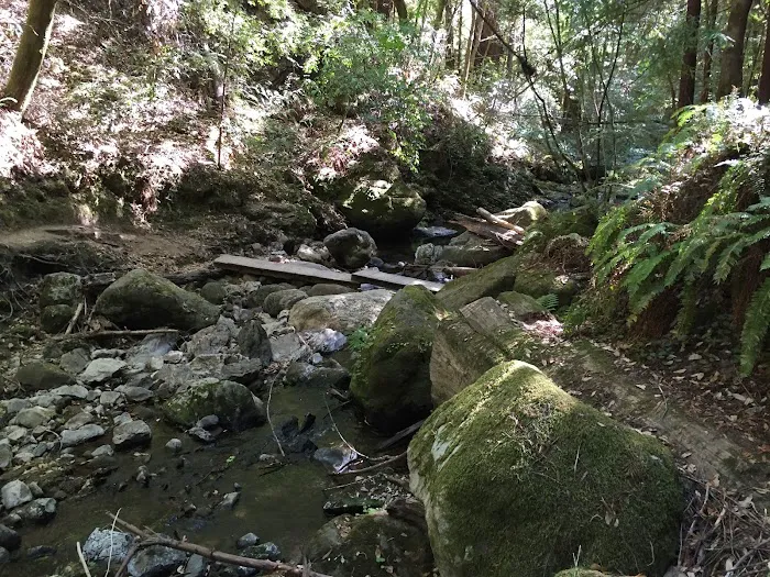 Alder Trail Camp Picture 9