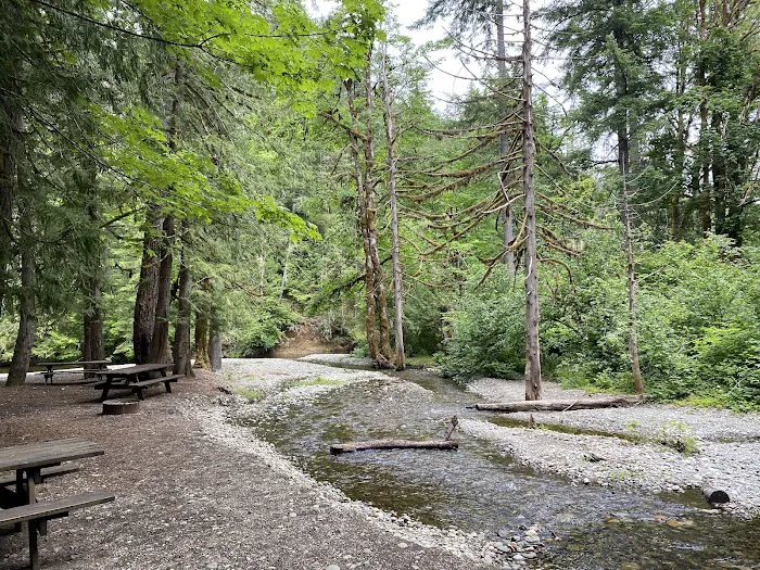 Dewatto Camp Grounds Picture 2