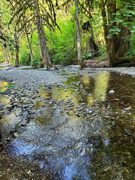 Dewatto Camp Grounds Picture 3