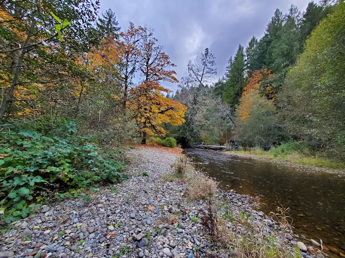 Dewatto Camp Grounds Picture 5