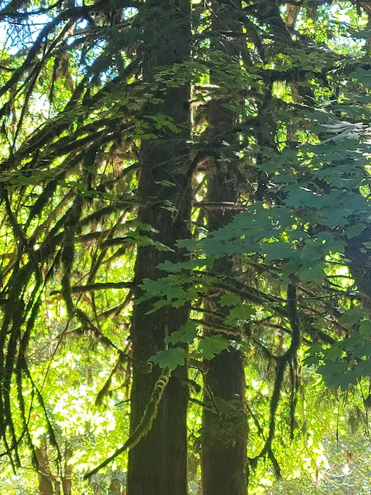 Dewatto Camp Grounds Picture 9