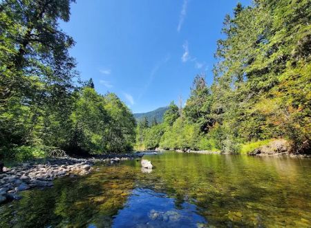 Hamma Hamma Campground