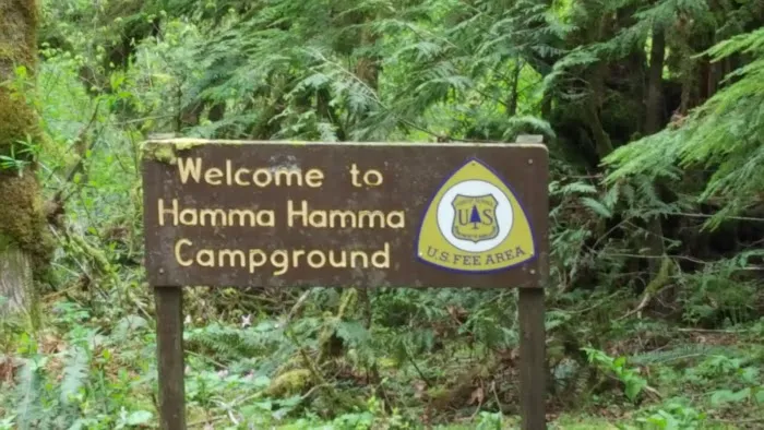 Hamma Hamma Campground Picture 4