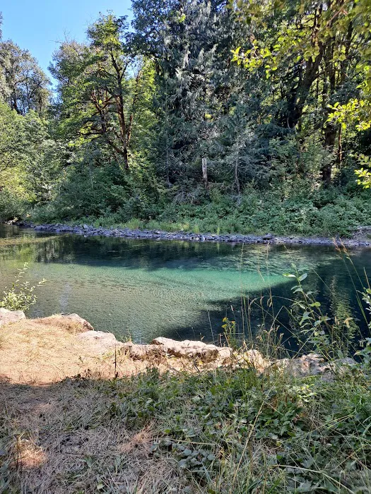 Hamma Hamma Campground Picture 9