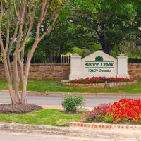 Branch Creek ico