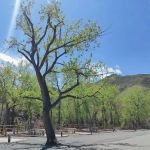 Clear Creek RV Park