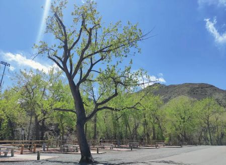 Clear Creek RV Park