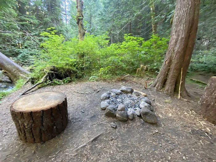 Bark Shanty Campsite Picture 4