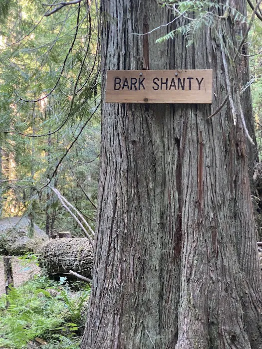 Bark Shanty Campsite Picture 9