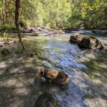 Elkhorn Campground