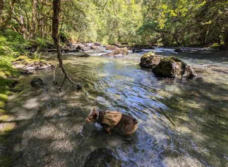Elkhorn Campground