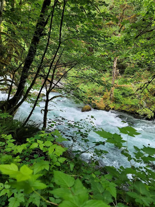 Elkhorn Campground Picture 9
