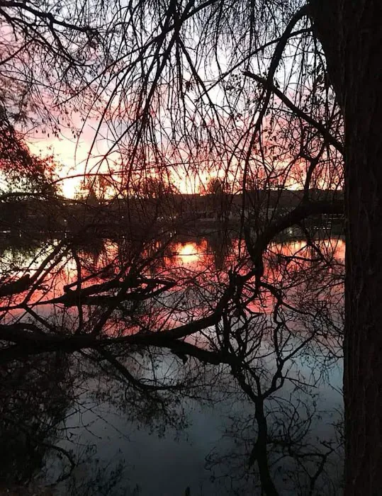Wolhurst Lake Picture 4