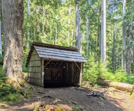 Tunnel Creek via Big Quilcene Road Trailhead