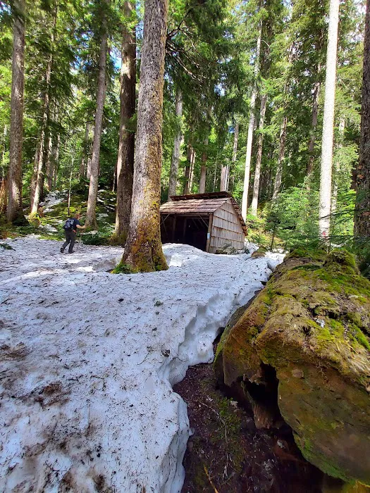 Tunnel Creek via Big Quilcene Road Trailhead Picture 2
