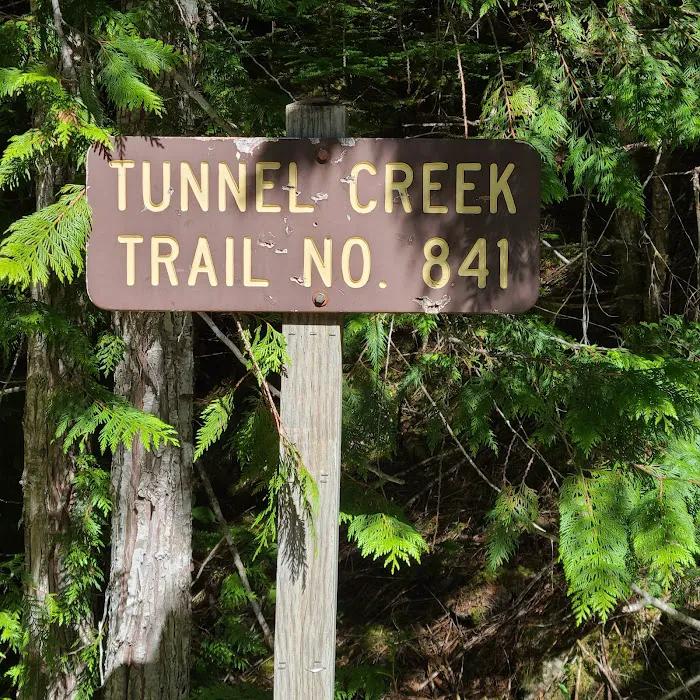 Tunnel Creek via Big Quilcene Road Trailhead Picture 4