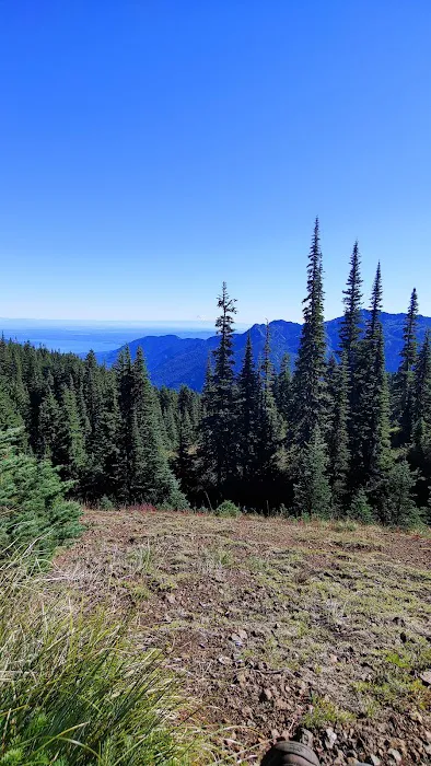 Tunnel Creek via Big Quilcene Road Trailhead Picture 6