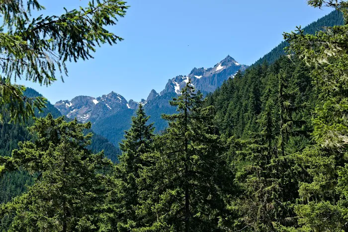 Tunnel Creek via Big Quilcene Road Trailhead Picture 8
