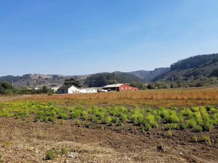 Hilltop Mobile Home Park Picture 5
