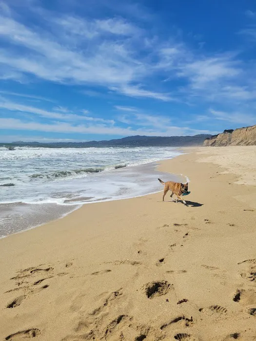 Half Moon Bay RV Park Picture 5
