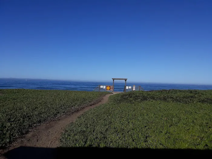 Half Moon Bay RV Park Picture 8