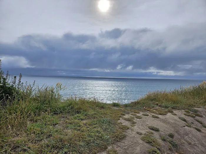 Half Moon Bay RV Park Picture 10