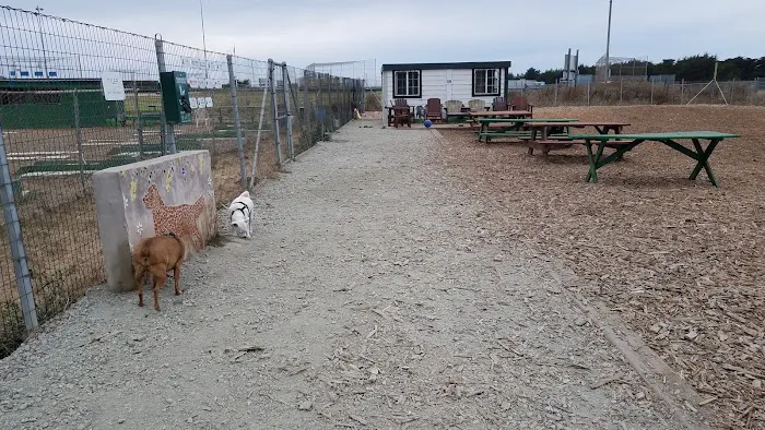 Half Moon Bay RV Park Picture 9