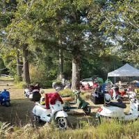 Malaney Creek Farm ico