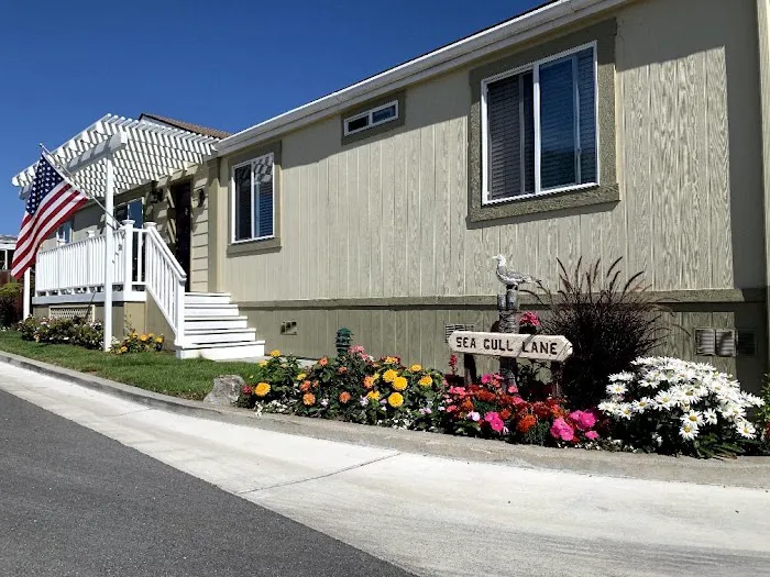 Accent Homes Inc. in Canada Cove Mobile Home Park Picture 2