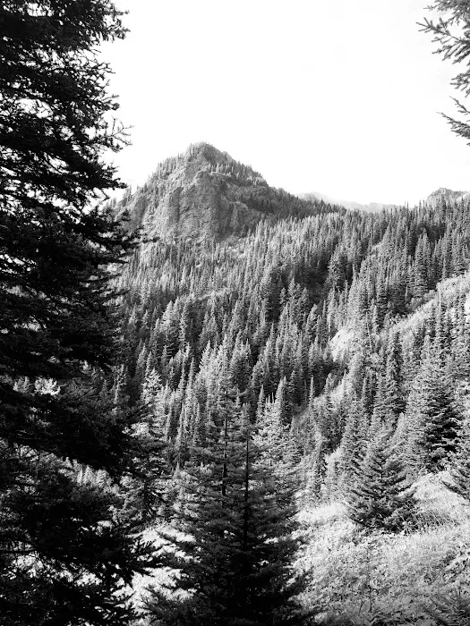 Windy Lakes campground Picture 3