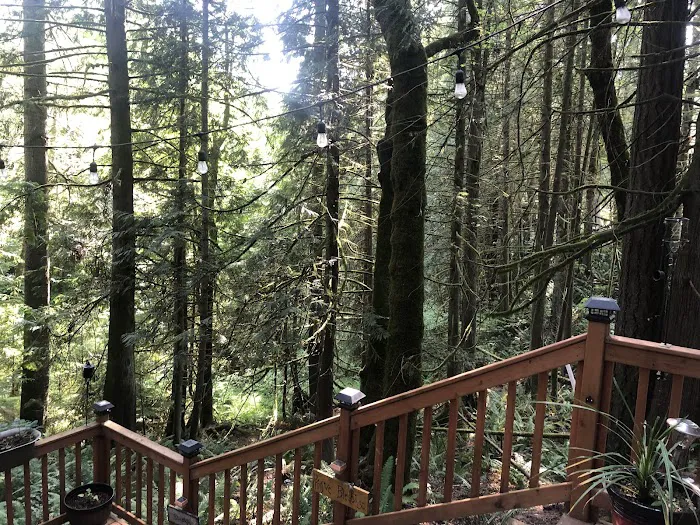 Pleasant Forest Camping Club Picture 9