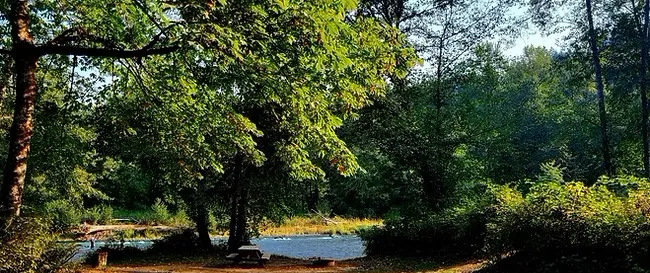 Riverbend Campground Picture 3