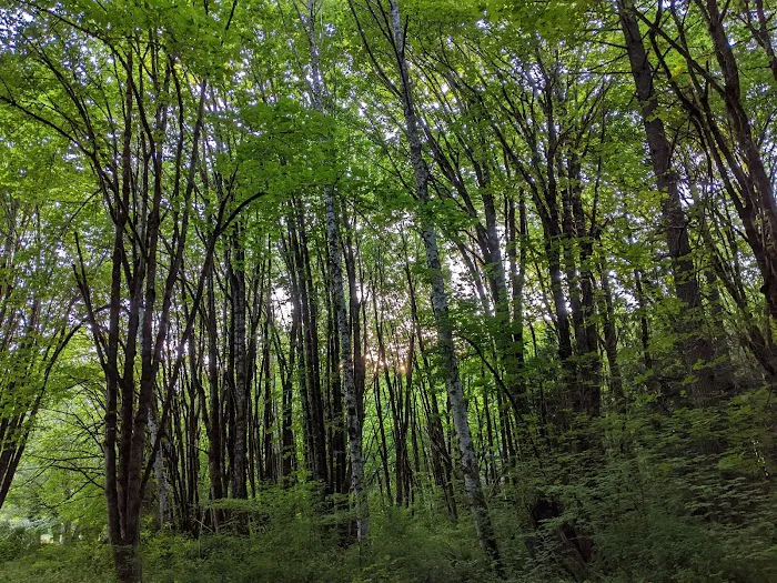 Camp Nisqually Picture 6