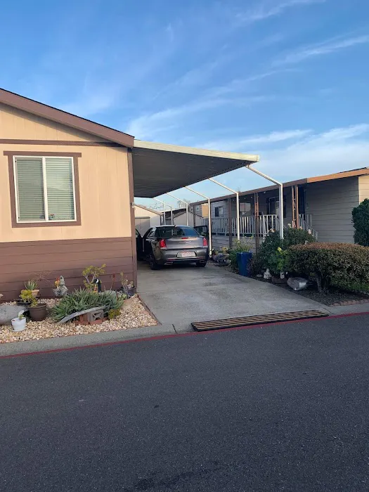 Pueblo Springs Mobile Home Park Picture 9