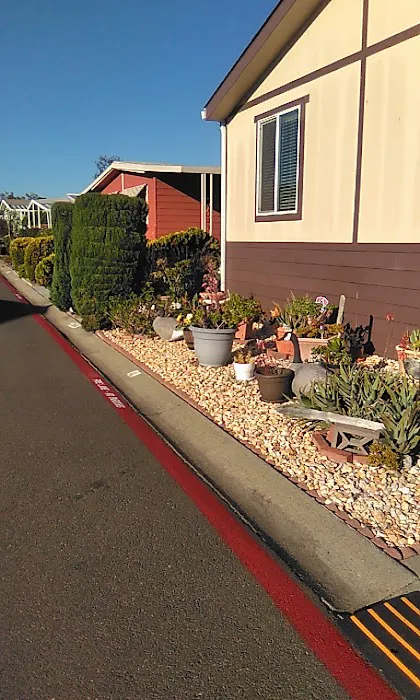 Pueblo Springs Mobile Home Park Picture 10