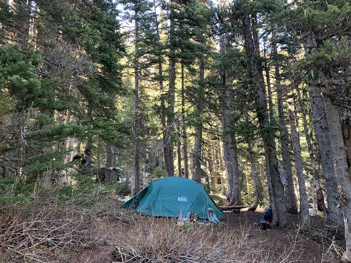 Camp Mystery Picture 1