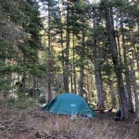 Camp Mystery ico