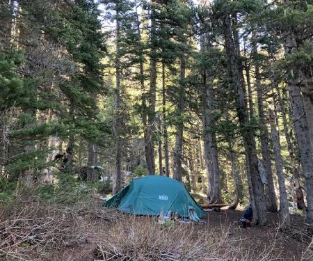 Camp Mystery