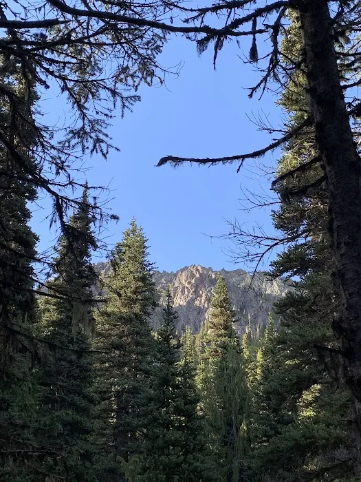 Camp Mystery Picture 2