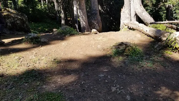 Camp Mystery Picture 9
