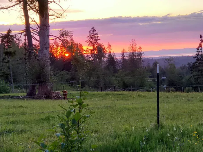 Sage Horse Camp Picture 10