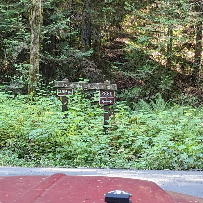 Dungeness Forks Campground Picture 7