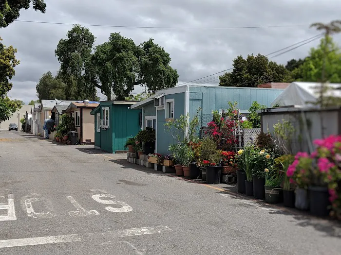 Buena Vista Mobile Home Park Picture 10